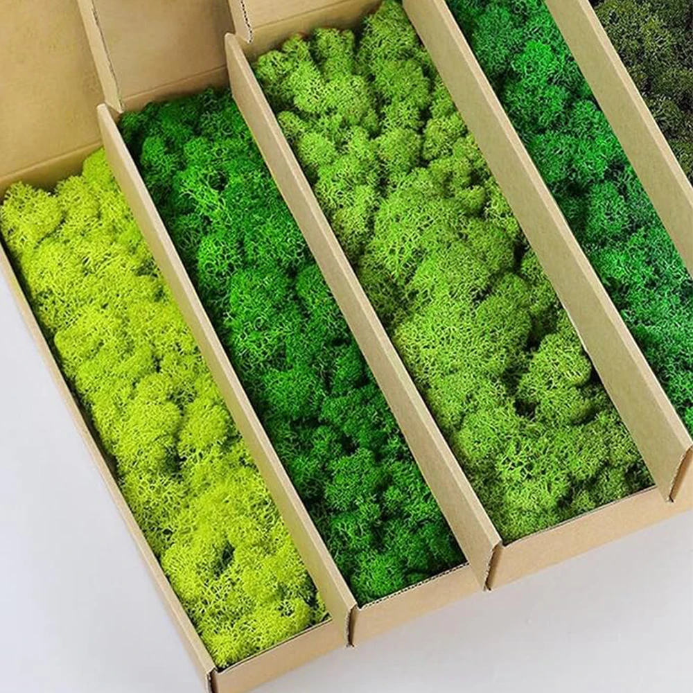 20-200g Artificial Green Plant - Terrarium Moss Art ulasan dan harga