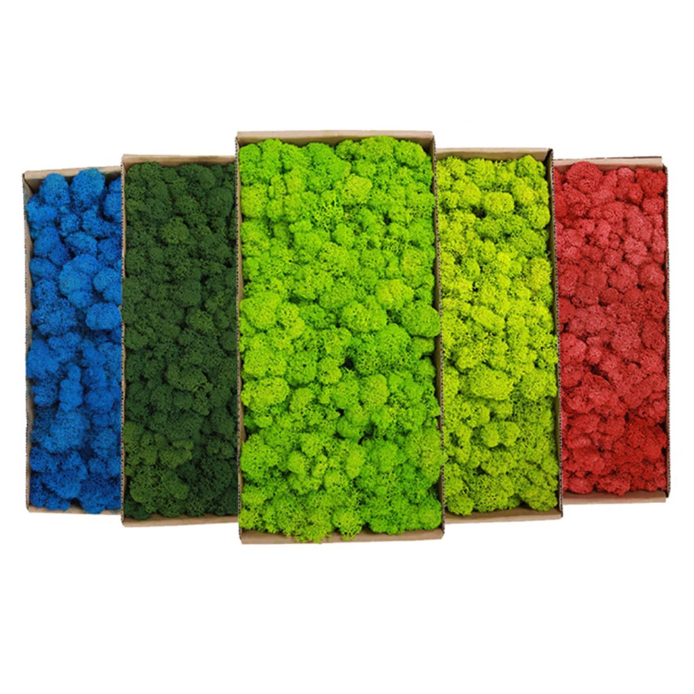 20-200g Artificial Green Plant - Terrarium Moss Art ulasan dan harga