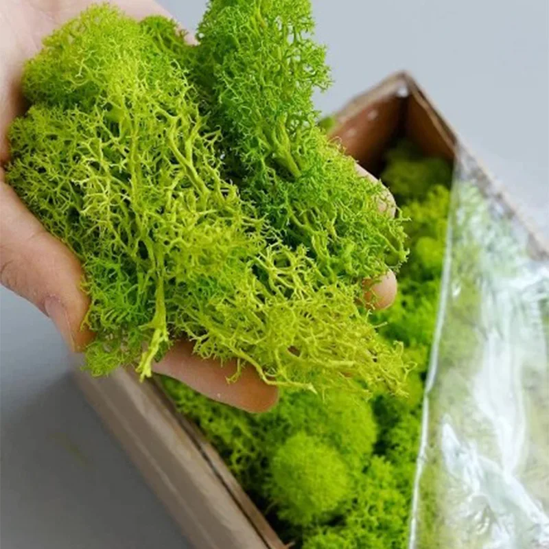 20-200g Artificial Green Plant - Terrarium Moss Art ulasan dan harga