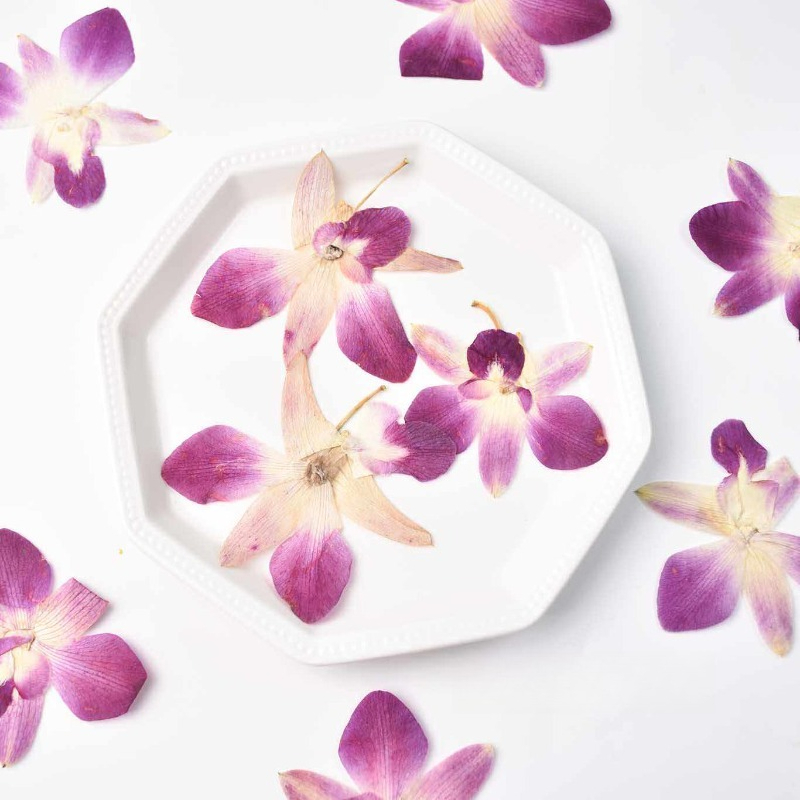 4pcs,Real Pressed Butterfly Or - Resin Craft Ideas ulasan dan harga