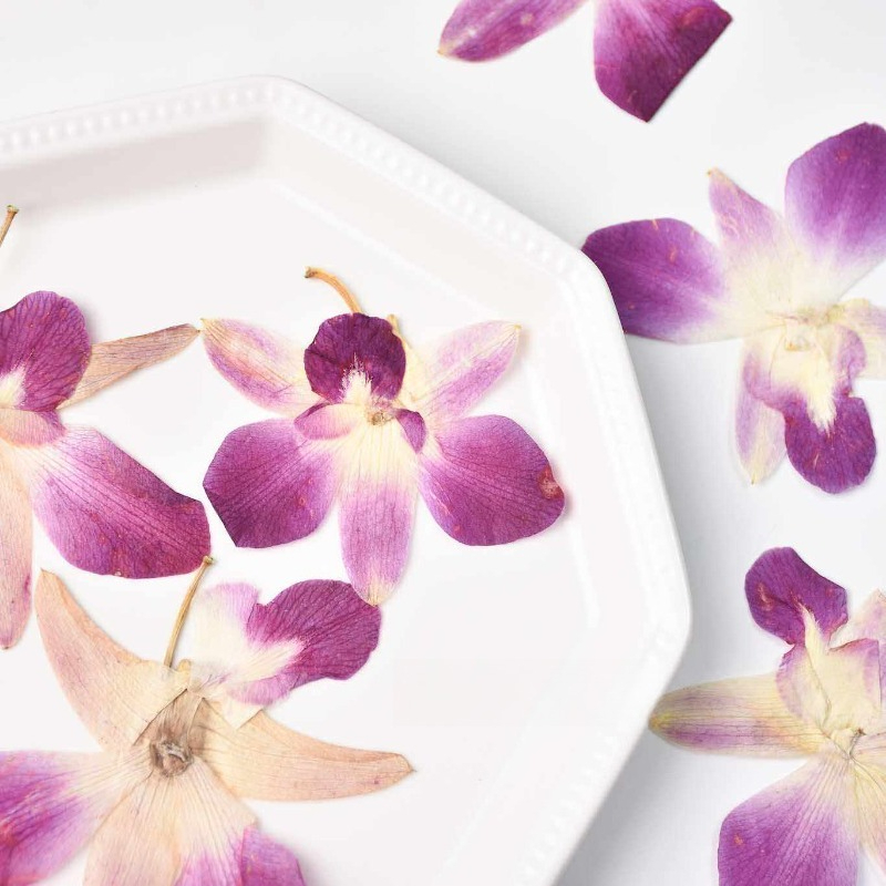 4pcs,Real Pressed Butterfly Or - Resin Craft Ideas ulasan dan harga