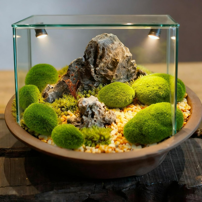 50/5PCS Artificial Foam Moss R - Terrarium Moss Art ulasan dan harga