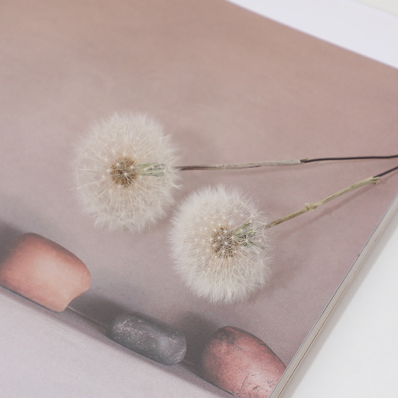Preserved Dandelion DIY Epoxy  - Resin Crafts Diy ulasan dan harga