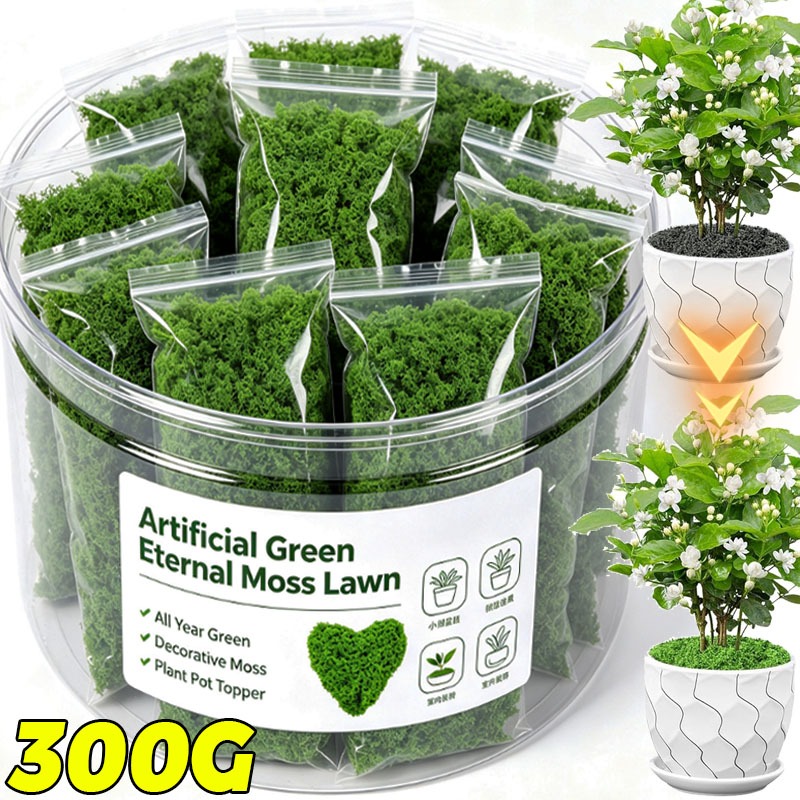 Artificial Green Plants Eterna - Terrarium Moss Art ulasan dan harga