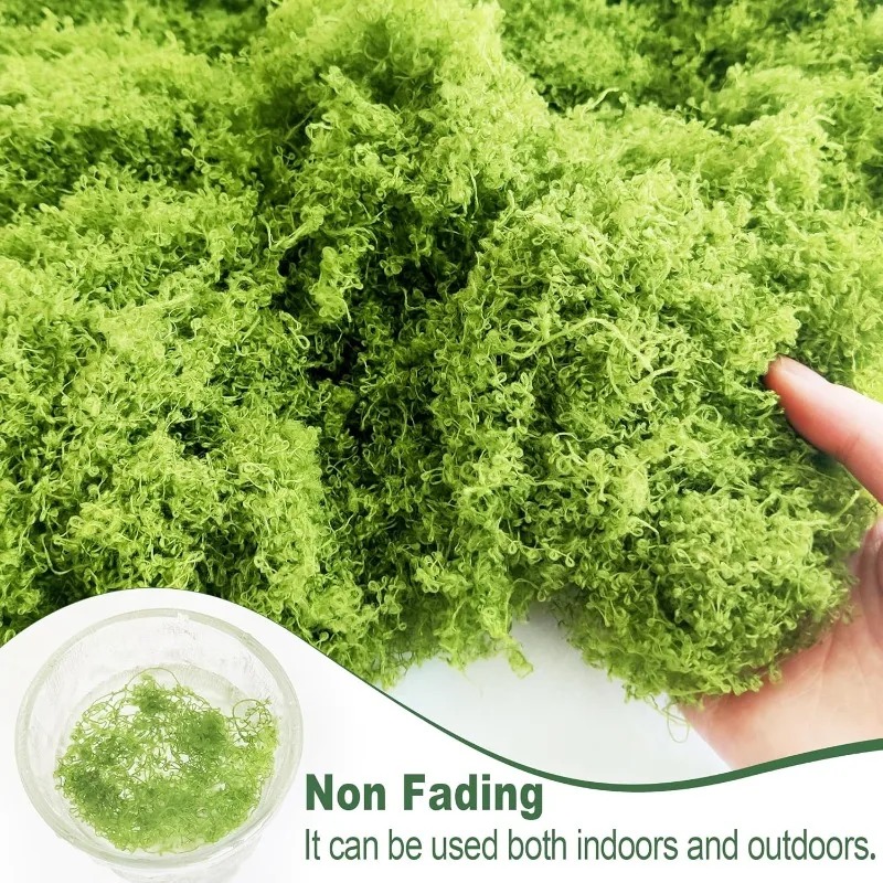 Artificial Green Plants Eterna - Terrarium Moss Art ulasan dan harga