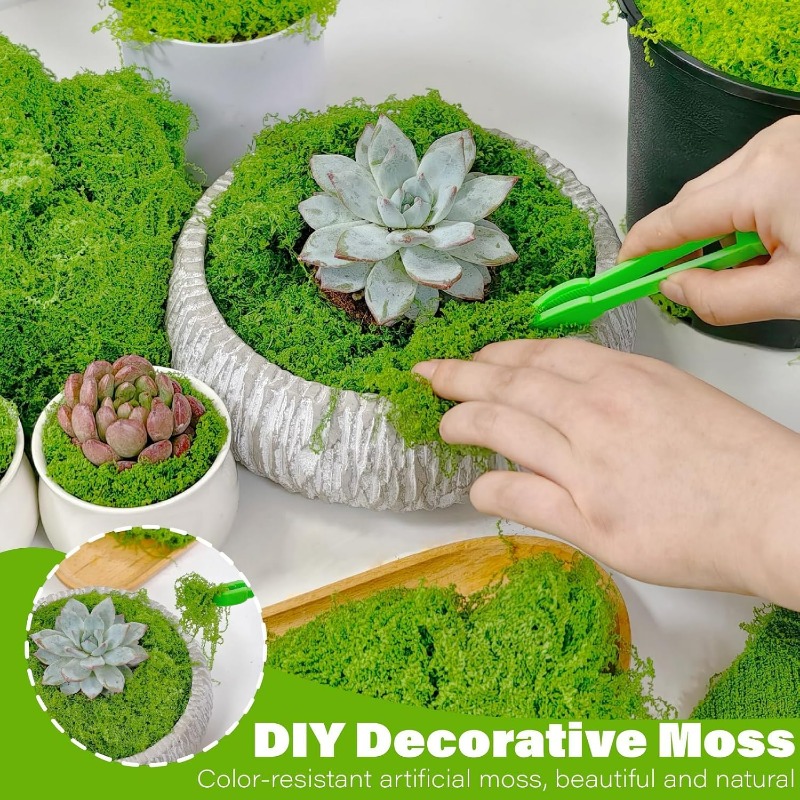Artificial Green Plants Eterna - Terrarium Moss Art ulasan dan harga