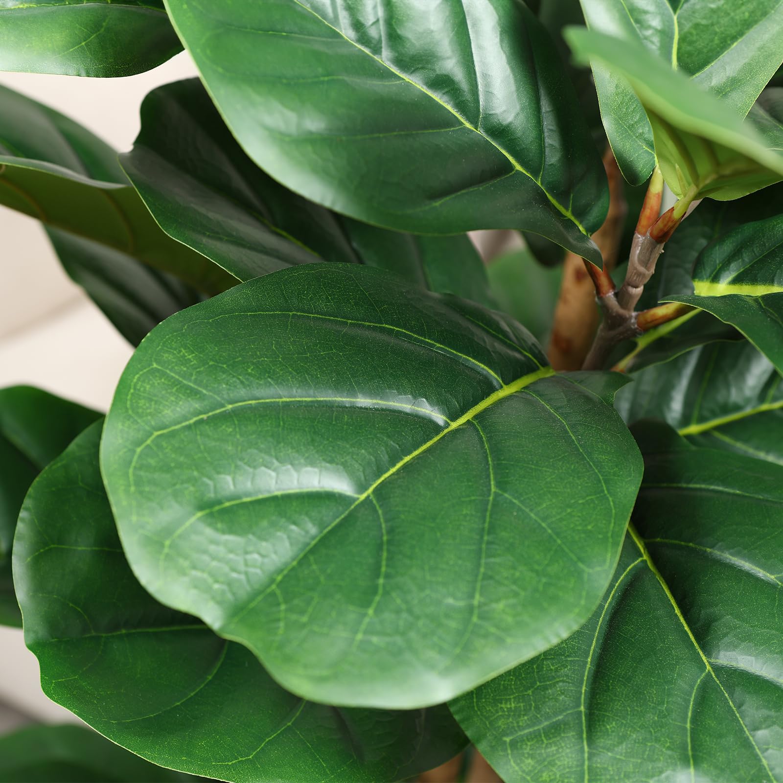 Artificial Fiddle Leaf Fig Tre - Terrarium Moss Art ulasan dan harga