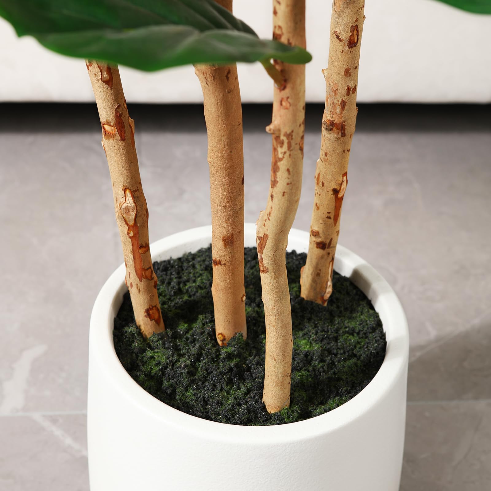 Artificial Fiddle Leaf Fig Tre - Terrarium Moss Art ulasan dan harga